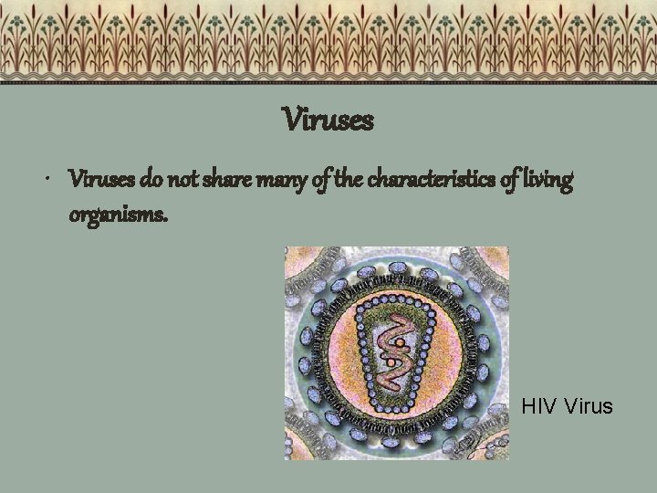 Viruses • Viruses do not share many of the characteristics of living organisms. HIV