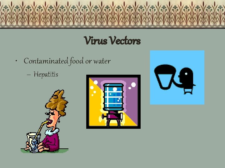 Virus Vectors • Contaminated food or water – Hepatitis 