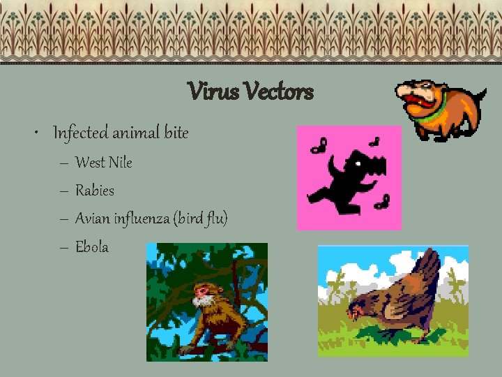 Virus Vectors • Infected animal bite – West Nile – Rabies – Avian influenza