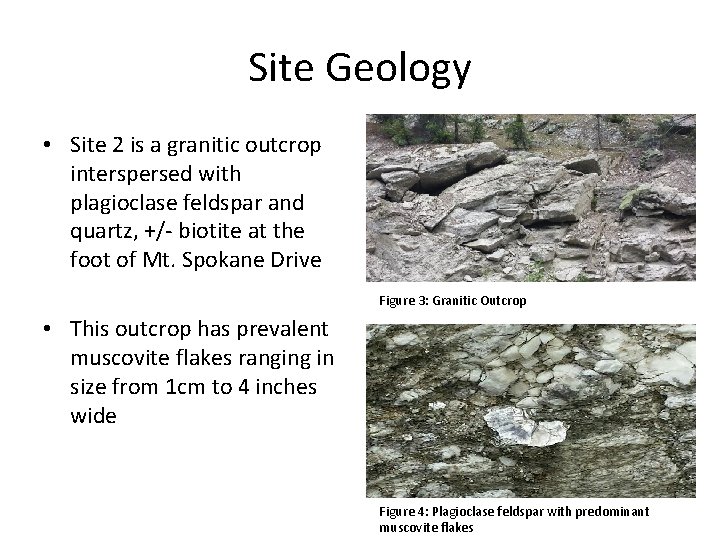 Site Geology • Site 2 is a granitic outcrop interspersed with plagioclase feldspar and