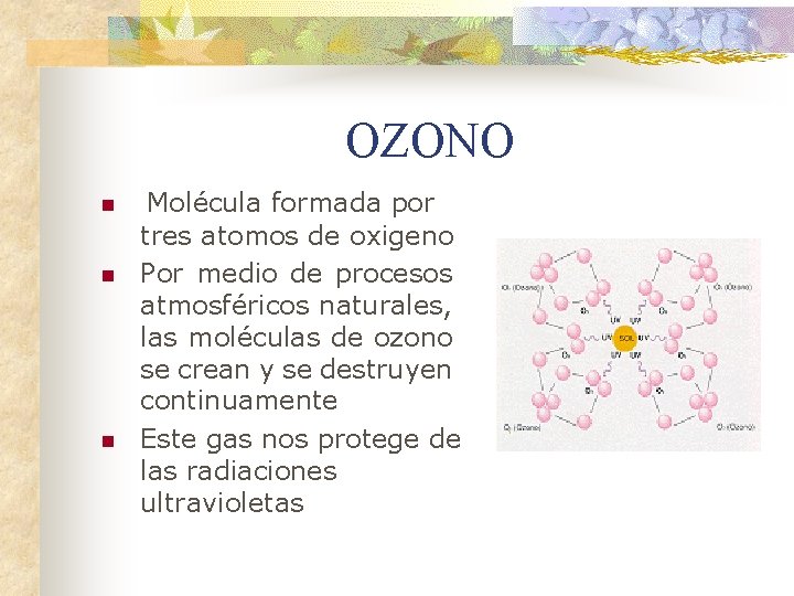 OZONO n n n Molécula formada por tres atomos de oxigeno Por medio de