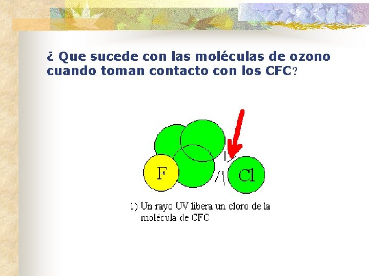 ¿ Que sucede con las moléculas de ozono cuando toman contacto con los CFC?