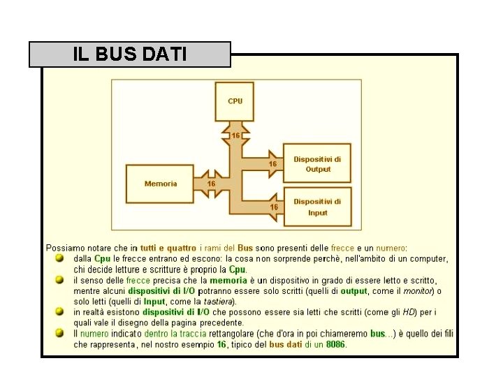 IL BUS DATI 