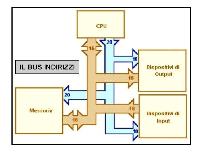 IL BUS INDIRIZZI 