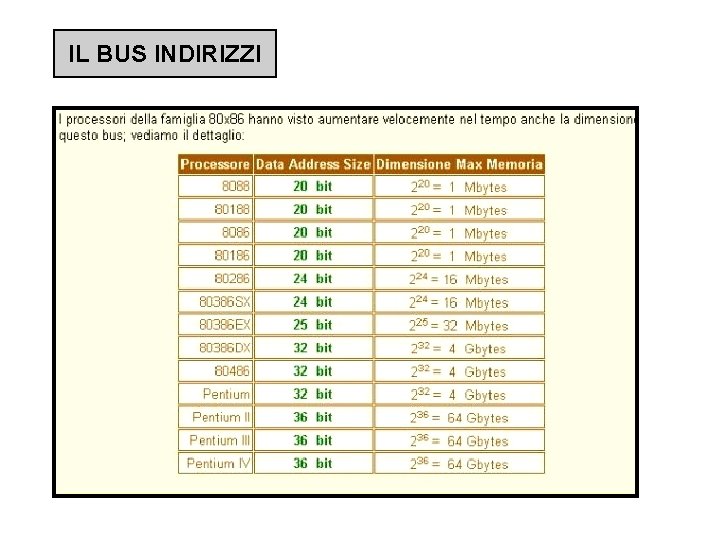 IL BUS INDIRIZZI 