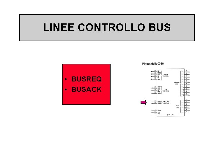 LINEE CONTROLLO BUS • BUSREQ • BUSACK 