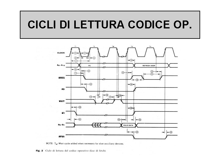 CICLI DI LETTURA CODICE OP. 