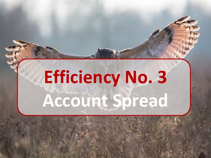 Efficiency No. 3 Account Spread 