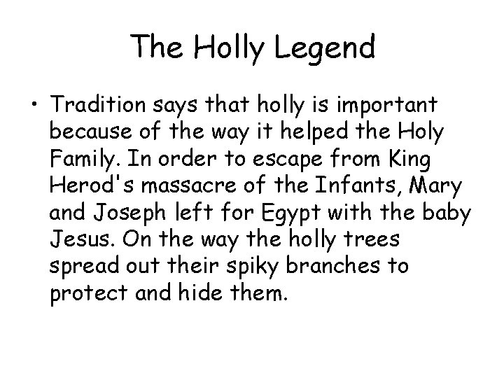 The Holly Legend • Tradition says that holly is important because of the way The Holly Legend • Tradition says that holly is important because of the way
