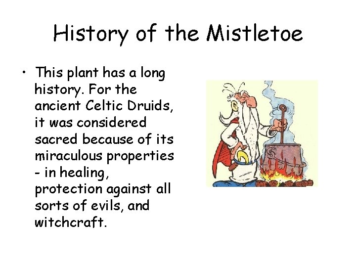 History of the Mistletoe • This plant has a long history. For the ancient History of the Mistletoe • This plant has a long history. For the ancient