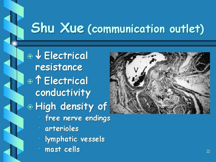 Shu Xue (communication outlet) Electrical resistance b Electrical conductivity b High density of b