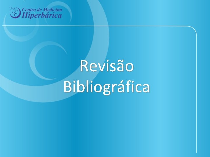 Revisão Bibliográfica 