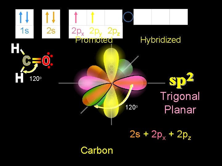 1 s 2 s 2 px 2 py 2 pz Promoted sp 2 Hybridized