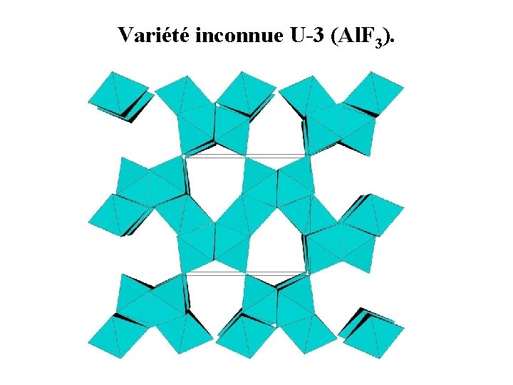 Variété inconnue U-3 (Al. F 3). 