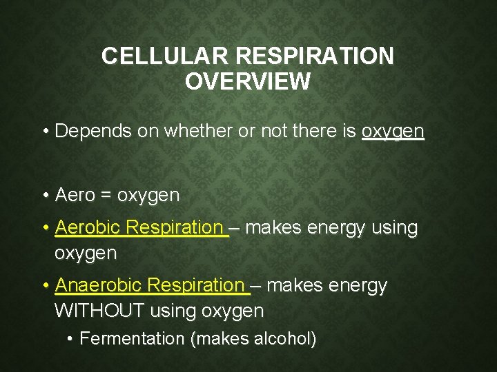 CELLULAR RESPIRATION OVERVIEW • Depends on whether or not there is oxygen • Aero CELLULAR RESPIRATION OVERVIEW • Depends on whether or not there is oxygen • Aero