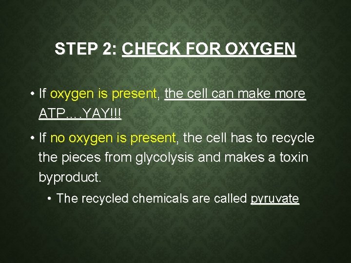 STEP 2: CHECK FOR OXYGEN • If oxygen is present, the cell can make STEP 2: CHECK FOR OXYGEN • If oxygen is present, the cell can make
