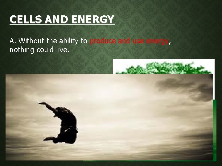 CELLS AND ENERGY A. Without the ability to produce and use energy, nothing could CELLS AND ENERGY A. Without the ability to produce and use energy, nothing could