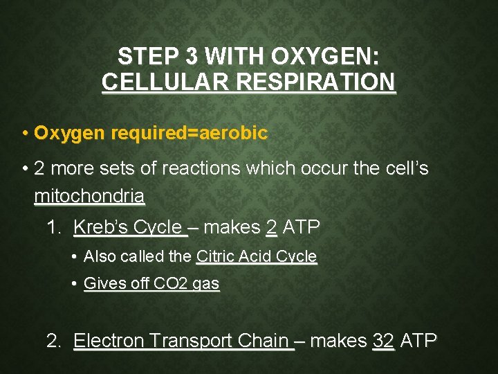 STEP 3 WITH OXYGEN: CELLULAR RESPIRATION • Oxygen required=aerobic • 2 more sets of STEP 3 WITH OXYGEN: CELLULAR RESPIRATION • Oxygen required=aerobic • 2 more sets of