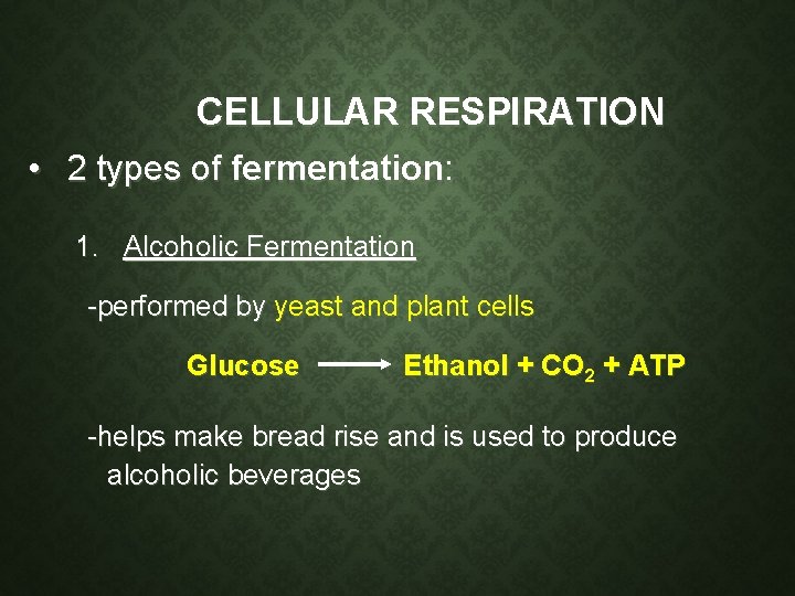 CELLULAR RESPIRATION • 2 types of fermentation: 1. Alcoholic Fermentation -performed by yeast and CELLULAR RESPIRATION • 2 types of fermentation: 1. Alcoholic Fermentation -performed by yeast and