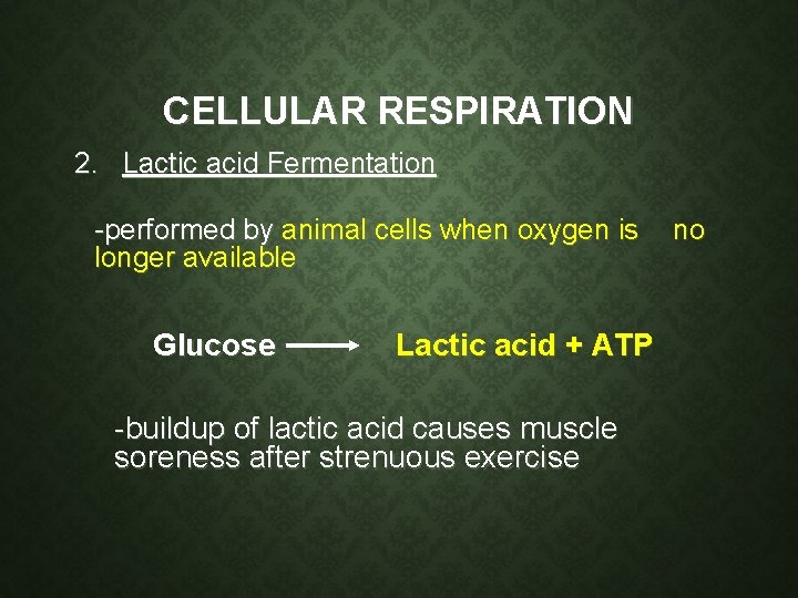 CELLULAR RESPIRATION 2. Lactic acid Fermentation -performed by animal cells when oxygen is no CELLULAR RESPIRATION 2. Lactic acid Fermentation -performed by animal cells when oxygen is no