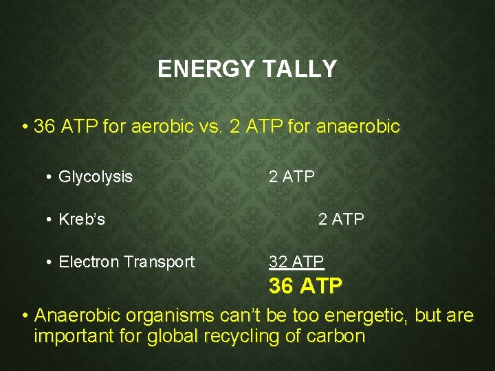 ENERGY TALLY • 36 ATP for aerobic vs. 2 ATP for anaerobic • Glycolysis ENERGY TALLY • 36 ATP for aerobic vs. 2 ATP for anaerobic • Glycolysis