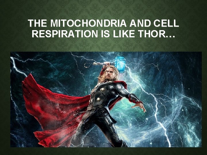 THE MITOCHONDRIA AND CELL RESPIRATION IS LIKE THOR… THE MITOCHONDRIA AND CELL RESPIRATION IS LIKE THOR…