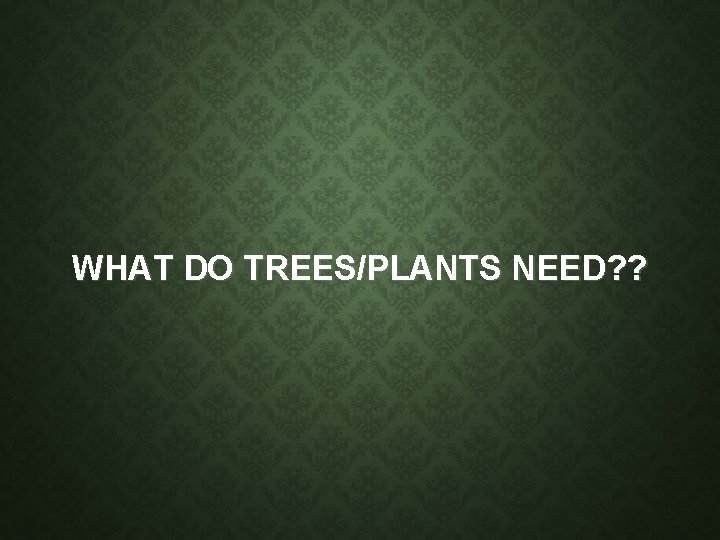 WHAT DO TREES/PLANTS NEED? ? WHAT DO TREES/PLANTS NEED? ?