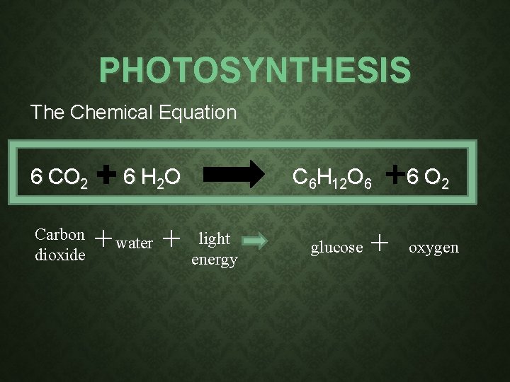 PHOTOSYNTHESIS The Chemical Equation 6 CO 2 6 H 2 O C 6 H PHOTOSYNTHESIS The Chemical Equation 6 CO 2 6 H 2 O C 6 H