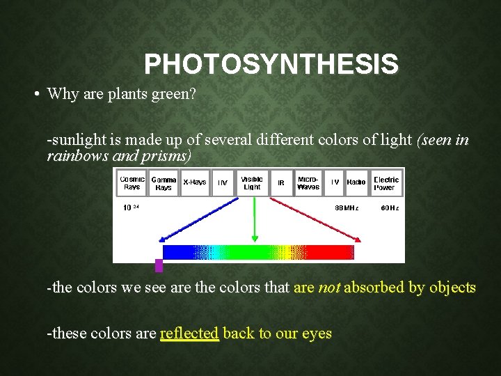 PHOTOSYNTHESIS • Why are plants green? -sunlight is made up of several different colors PHOTOSYNTHESIS • Why are plants green? -sunlight is made up of several different colors