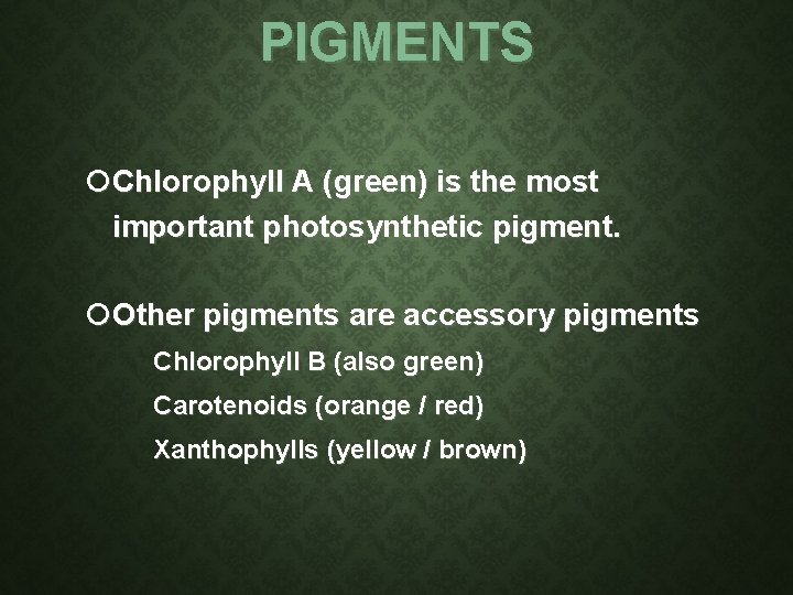 PIGMENTS Chlorophyll A (green) is the most important photosynthetic pigment. Other pigments are accessory PIGMENTS Chlorophyll A (green) is the most important photosynthetic pigment. Other pigments are accessory