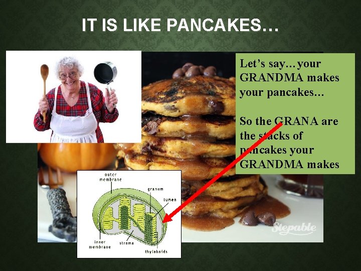 IT IS LIKE PANCAKES… Let’s say…your GRANDMA makes your pancakes… So the GRANA are IT IS LIKE PANCAKES… Let’s say…your GRANDMA makes your pancakes… So the GRANA are