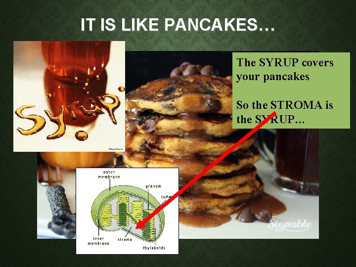 IT IS LIKE PANCAKES… The SYRUP covers your pancakes So the STROMA is the IT IS LIKE PANCAKES… The SYRUP covers your pancakes So the STROMA is the