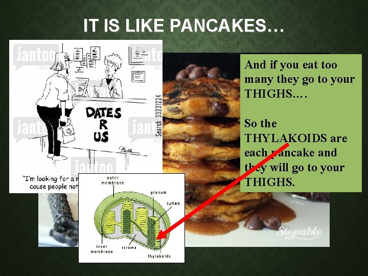 IT IS LIKE PANCAKES… And if you eat too many they go to your IT IS LIKE PANCAKES… And if you eat too many they go to your