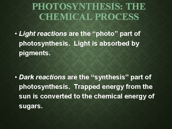 PHOTOSYNTHESIS: THE CHEMICAL PROCESS • Light reactions are the “photo” part of photosynthesis. Light PHOTOSYNTHESIS: THE CHEMICAL PROCESS • Light reactions are the “photo” part of photosynthesis. Light