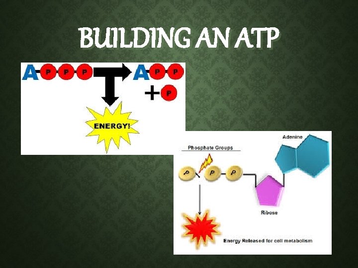 BUILDING AN ATP BUILDING AN ATP