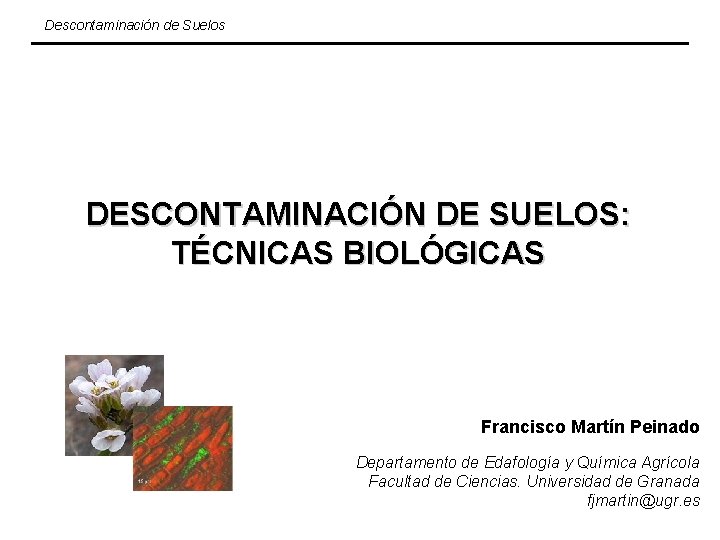 Descontaminación de Suelos DESCONTAMINACIÓN DE SUELOS: TÉCNICAS BIOLÓGICAS Francisco Martín Peinado Departamento de Edafología