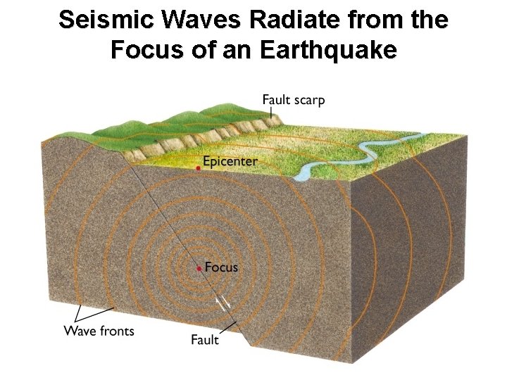 Seismic Waves Radiate from the Focus of an Earthquake 