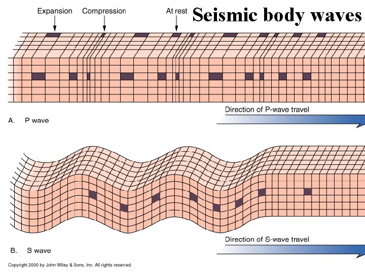 Seismic body waves 