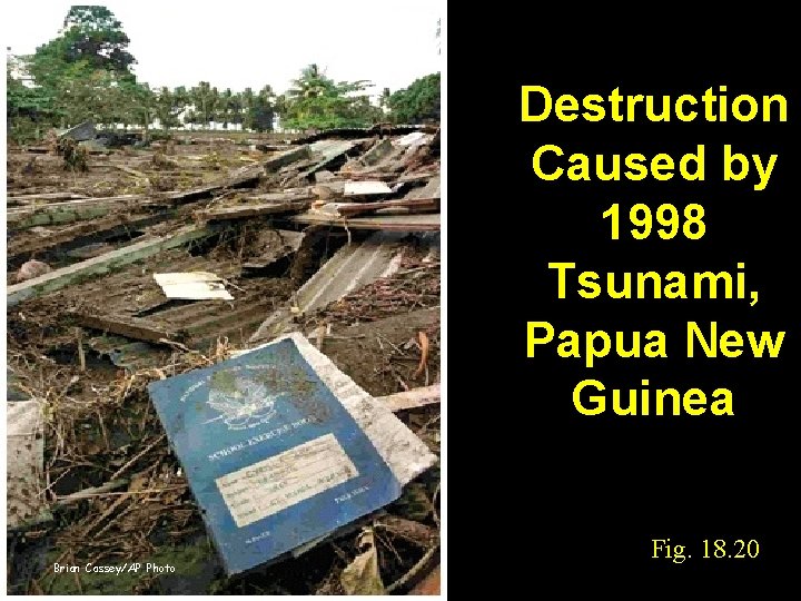 Destruction Caused by 1998 Tsunami, Papua New Guinea Brian Cassey/AP Photo Fig. 18. 20