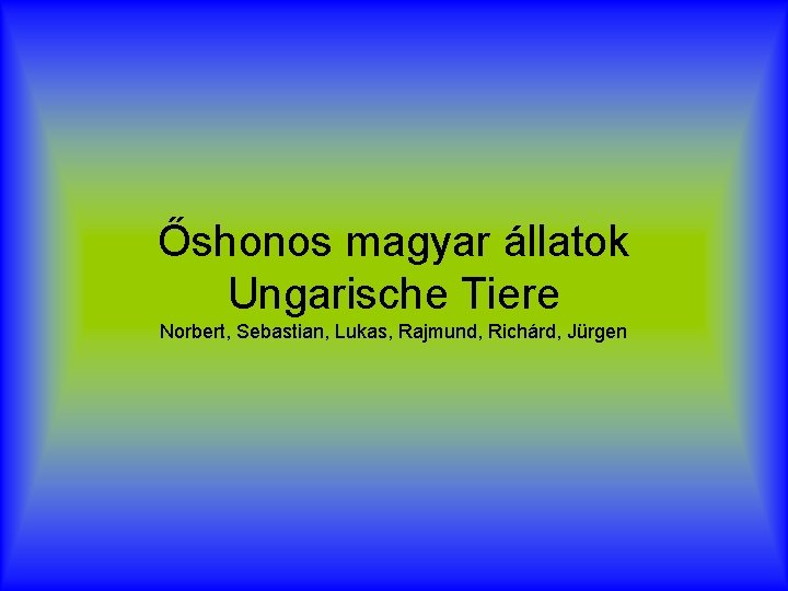Őshonos magyar állatok Ungarische Tiere Norbert, Sebastian, Lukas, Rajmund, Richárd, Jürgen 