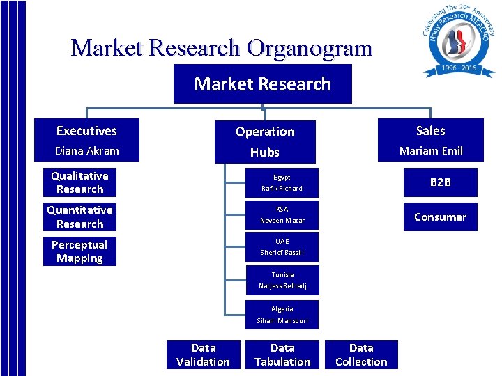 Market Research Organogram Market Research Executives Operation Sales Diana Akram Hubs Mariam Emil Qualitative