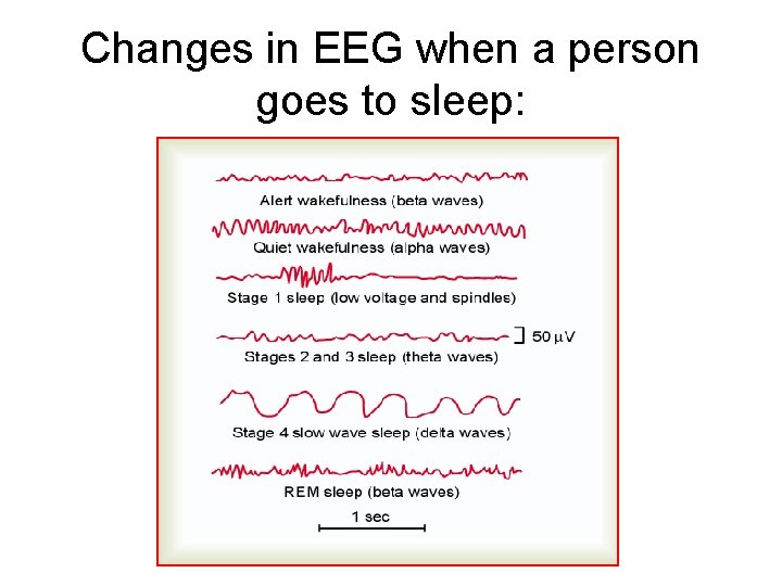 Changes in EEG when a person goes to sleep: 