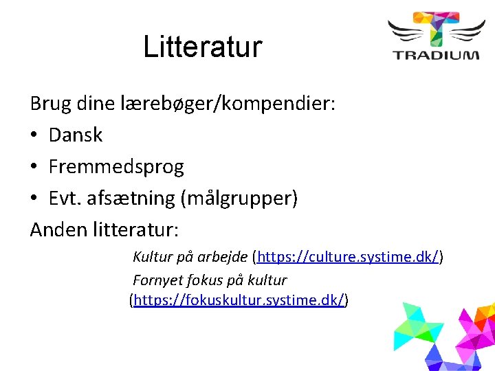 Litteratur Brug dine lærebøger/kompendier: • Dansk • Fremmedsprog • Evt. afsætning (målgrupper) Anden litteratur: