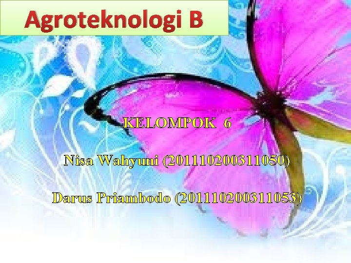 Agroteknologi B KELOMPOK 6 Nisa Wahyuni (201110200311050) Darus Priambodo (201110200311053) 