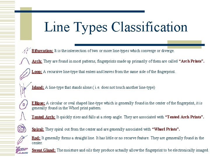 Line Types Classification Bifurcation: It is the intersection of two or more line-types which