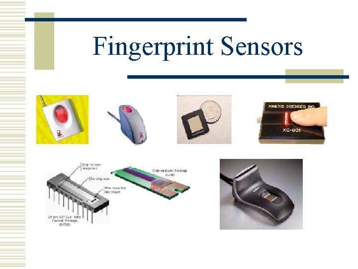 Fingerprint Sensors 