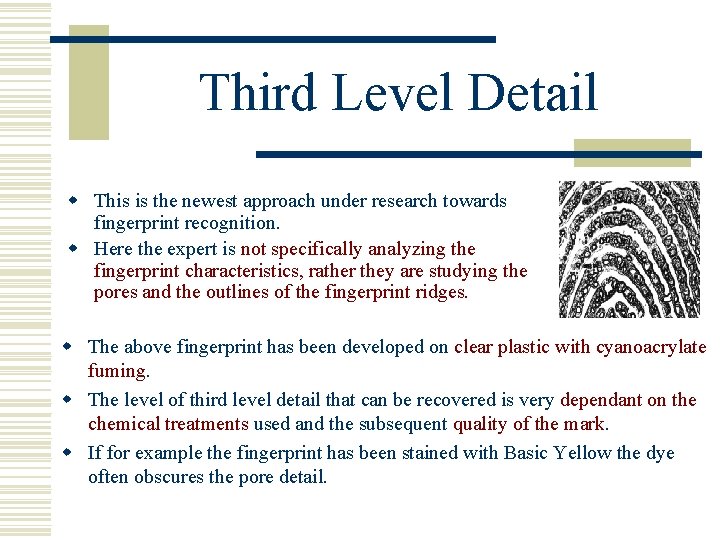 Third Level Detail w This is the newest approach under research towards fingerprint recognition.