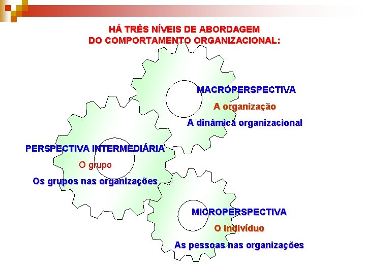 HÁ TRÊS NÍVEIS DE ABORDAGEM DO COMPORTAMENTO ORGANIZACIONAL: MACROPERSPECTIVA A organização A dinâmica organizacional