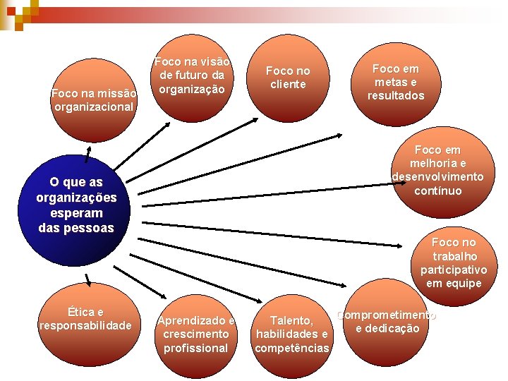 Foco na missão organizacional Foco na visão de futuro da organização Foco no cliente
