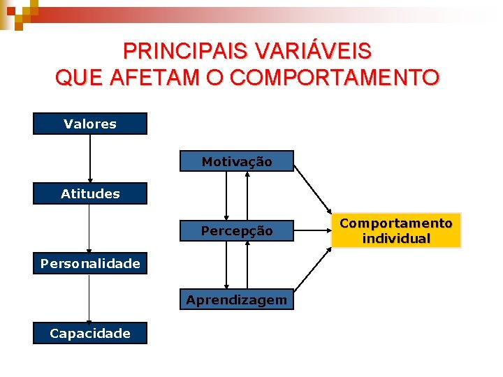 PRINCIPAIS VARIÁVEIS QUE AFETAM O COMPORTAMENTO Valores Motivação Atitudes Percepção Personalidade Aprendizagem Capacidade Comportamento